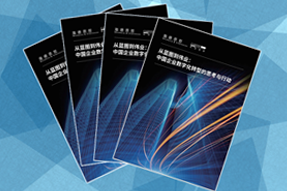 《从蓝图到伟业：中国企业数字化转型的思考与行动》